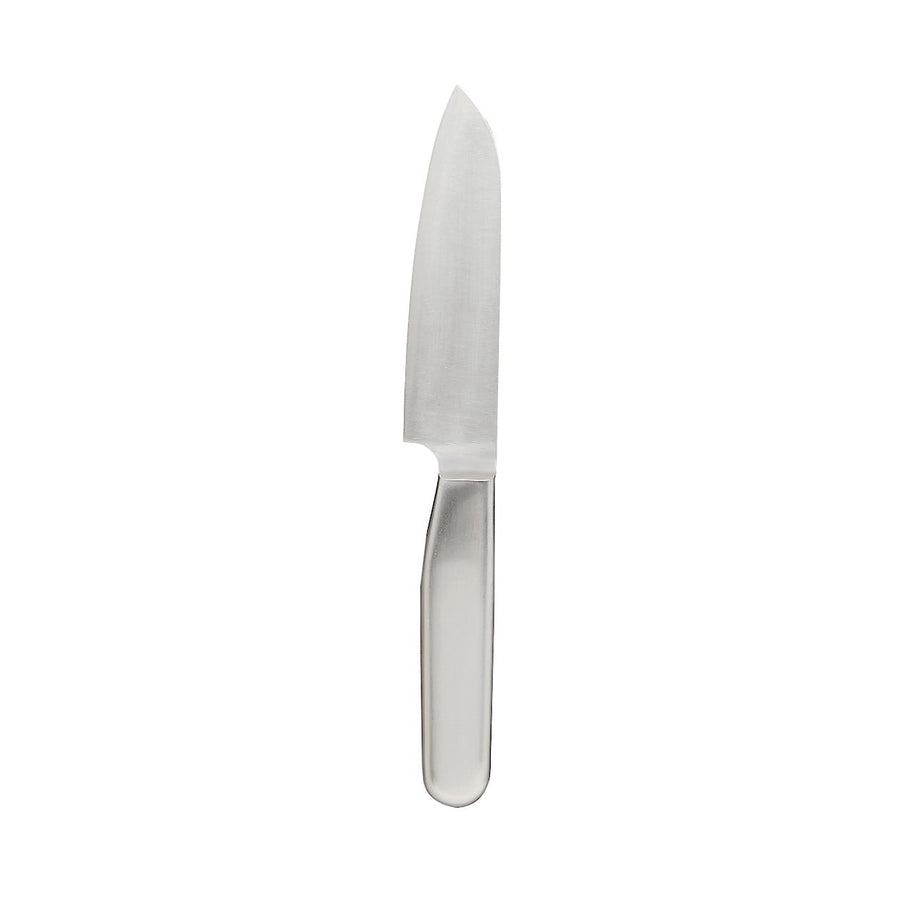 Stainless Steel Petit Knife