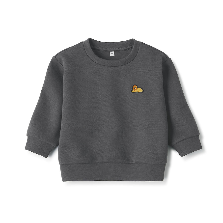 Embroidered double knitted sweatshirt (Baby)