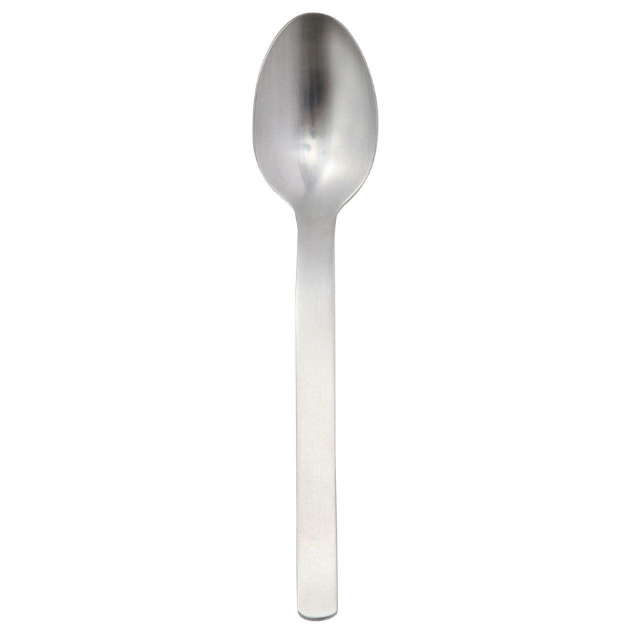 Stainless Steel Spoon - Small