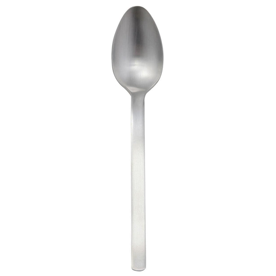 Stainless Steel Spoon - Large